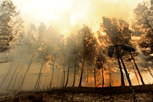 España sufre de los incendios debido a condiciones meteorológicas