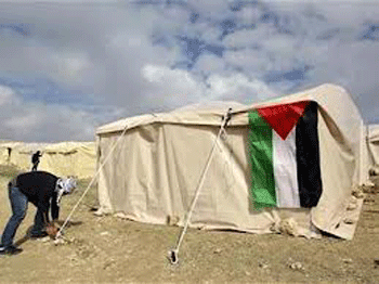 Palestinos reconquistan tierras ocupadas