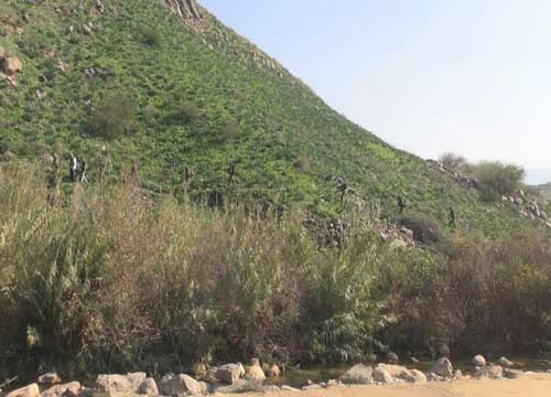 soldados israelies en territorio libanes Incursión sionista en el sur de Líbano