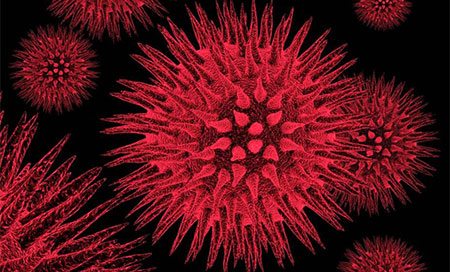 el virus del vih
