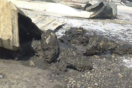 cadáver de un yemení victima de la barbarie saudí