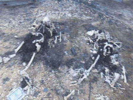 cuerpos carbonizados de los secorristas yemeníes