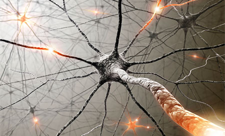 neurona Un sistema nervioso artificial de nanotubos de polímero
