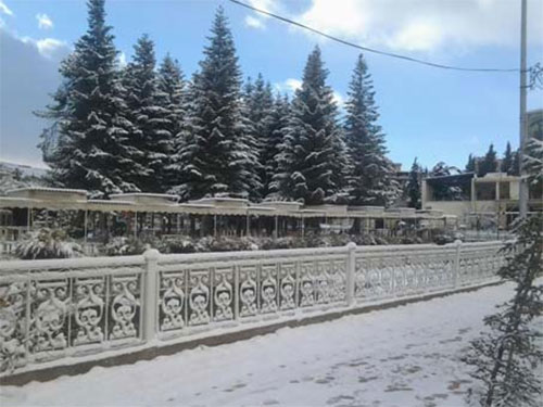 La nieve cubre el territorio libanés Líbano recibe el nuevo año con un manto blanco