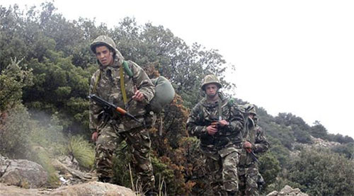 una operación antiterrorista en la región de Médéa Argelia anuncia la muerte de catorce terroristas en el norte del país