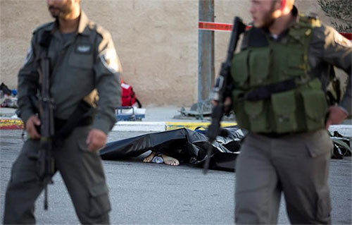 Un palestino muerto por disparos israelíes tras lanzar piedras Soldados israelíes matan a un palestino “por lanzar piedras”