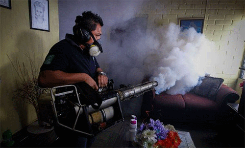 lucha contra el Zika