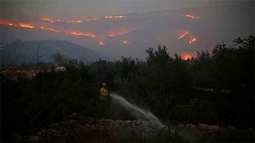 quinto día de incendios forestales en Palestina ocupada La entidad sionista acorralada por el fuego