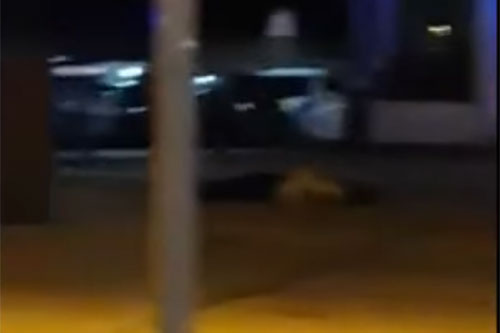 Abatidos cinco terroristas en Cambrils