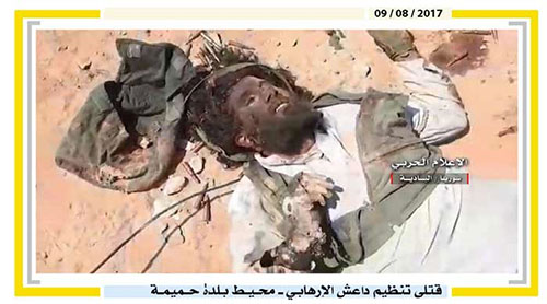 muertos de Daesh Divulgan fotos de los muertos de Daesh tras un ataque frustrado