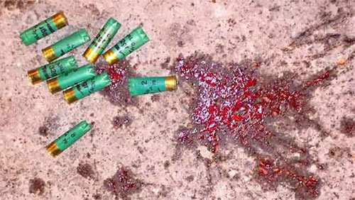 Fuerzas policiales asaltan la plaza Diraz El régimen de Al Jalifa derrama la sangre de sus ciudadanos en Bahréin
