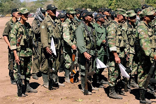 un grupo de exguerrilleros de las FARC Colombia Concede amnistía o indulto a 7.696 exguerrilleros de las FARC