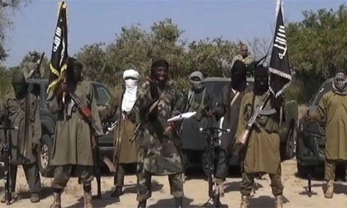 miembros de la banda terrorista Boko Haram Rendición masiva de terroristas en Nigeria