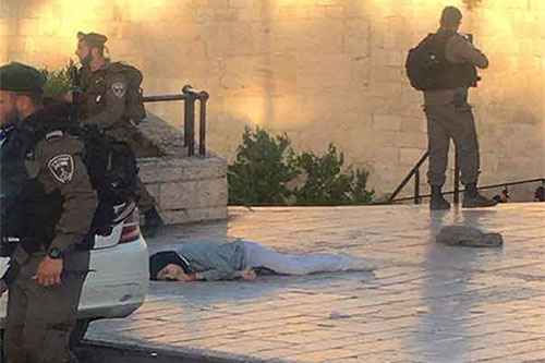 Fuerzas sionistas de ocupación asesinan a disparos a una joven palestina Fuerzas sionistas de ocupación asesinan a disparos a una joven palestina
