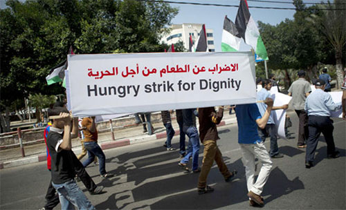 Prisioneros palestinos llevan dieciséis días en huelga de hambre Prisioneros palestinos llevan dieciséis días en huelga de hambre