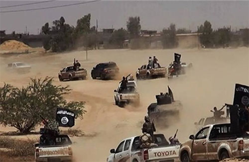 terroristas de Daesh Defensa rusa: La coalición internacional finge combatir a Daesh en Iraq