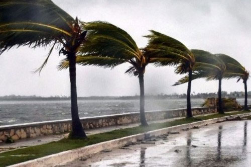 estado de desastre en Florida Trump declara el estado de desastre en Florida