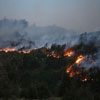 Detienen a joven israel&iacute como presunto autor de incendio en Parque Nacional 