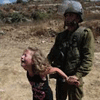 Soldados israel&#237es allanan las sedes de varias ONG palestinas