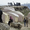 Palestinos reconquistan tierras ocupadas