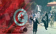 Cambio de pol&#237tica hacia la formaci&#243n salafista Ansar al-Sharia