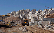 Construcci&#243n de m&#225s colonias israel&#237es