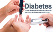 Una bacteria intestinal que podr&#237;a curar la diabetes