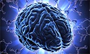 Detectan la zona cerebral responsable de decisiones estratégicos
