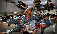 La organizaci&#243n DNI-P denuncia cr&#237menes israel&#237es contra la infancia