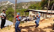 Encuentran m&#225;s de 10 cuerpos en fosas clandestinas en Acapulco 