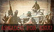 Dudas sobre la efectividad de la estrategia del Pent&#225;gono en Siria