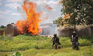 M&#225;s de 15 muertos en un ataque de Boko Haram en N&#237;ger