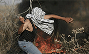 Toda Palestina se levanta contra la ocupaci&#243n sionista