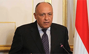 Egipto se aparta de la “intervención saudí en Siria”