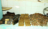Autoridades sirias descubren alijo de armas y explosivos en Banias