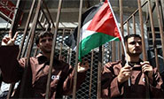 Prisioneros palestinos llevan dieciséis días en huelga de hambre