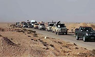 Aviación rusa ataca un convoy de Daesh que se dirigía de Al Raqa hacia Palmira