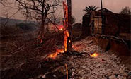 Estado de emergencia en los ocho condados de California dañados por los incendios