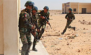 Enfrentamiento entre Policía y terroristas en Egipto