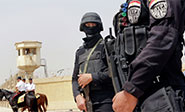 Egipto está resuelto a eliminar el terrorismo en un plazo de tres meses
