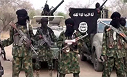 Níger: Mueren más de cinco personas por un ataque de Boko Haram