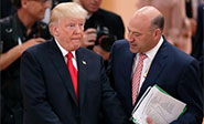 Dimite el principal asesor económico de Trump