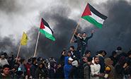 Irán condena los crímenes del régimen sionista y apoya la resistencia palestina