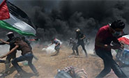 Estados Unidos defiende la masacre israelí en Gaza