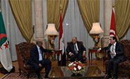 Egipto, Túnez y Argelia, cooperación en la lucha antiterrorista