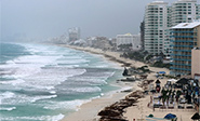 Florida evacua a miles de personas ante la llegada de la tormenta ‘Alberto’