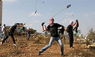 Hezbolá elogia la resistencia del pueblo palestino