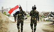 Ejército sirio elimina cabecilla de Daesh en el Valle Yarmouk