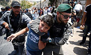 Fuerzas de la ocupación israelí matan a tres palestinos y detienen a más de cincuenta