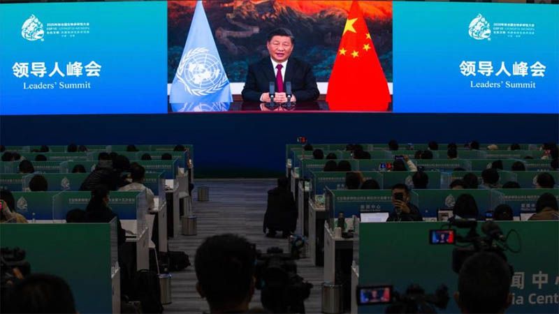 China anuncia la creaci&oacute;n de un fondo millonario en apoyo a pa&iacute;ses en desarrollo